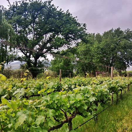 Cabernet Cottage Franschhoek Exteriör bild