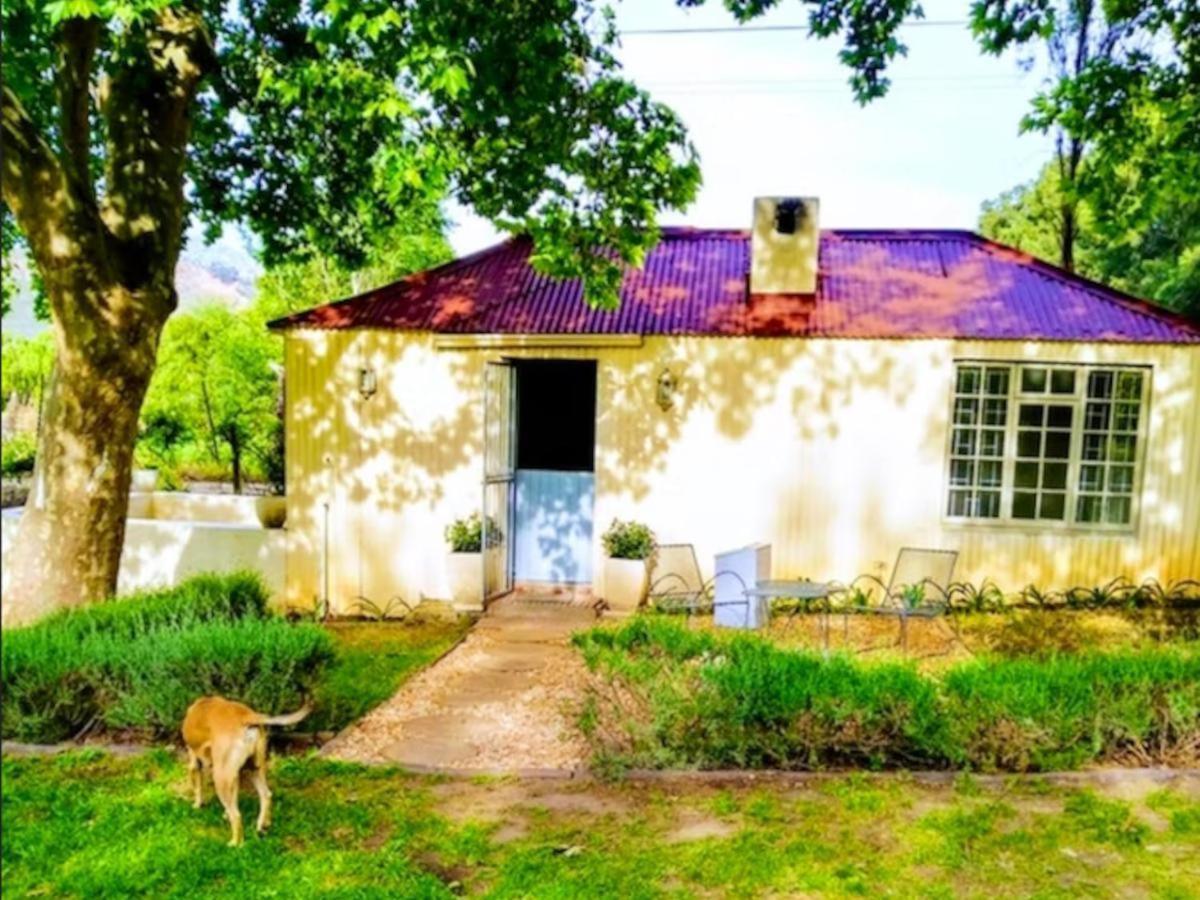 Cabernet Cottage Franschhoek Exteriör bild