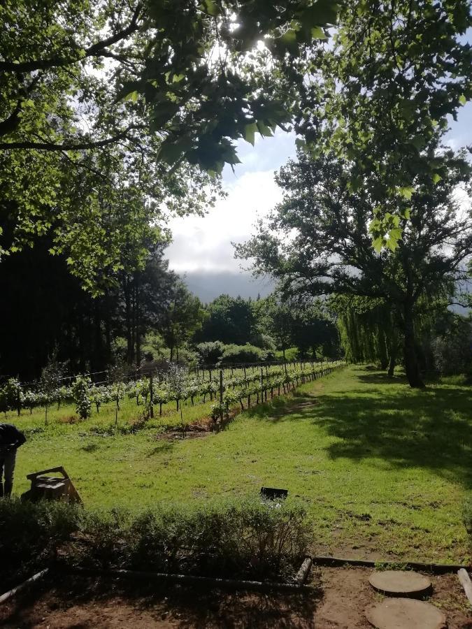 Cabernet Cottage Franschhoek Exteriör bild