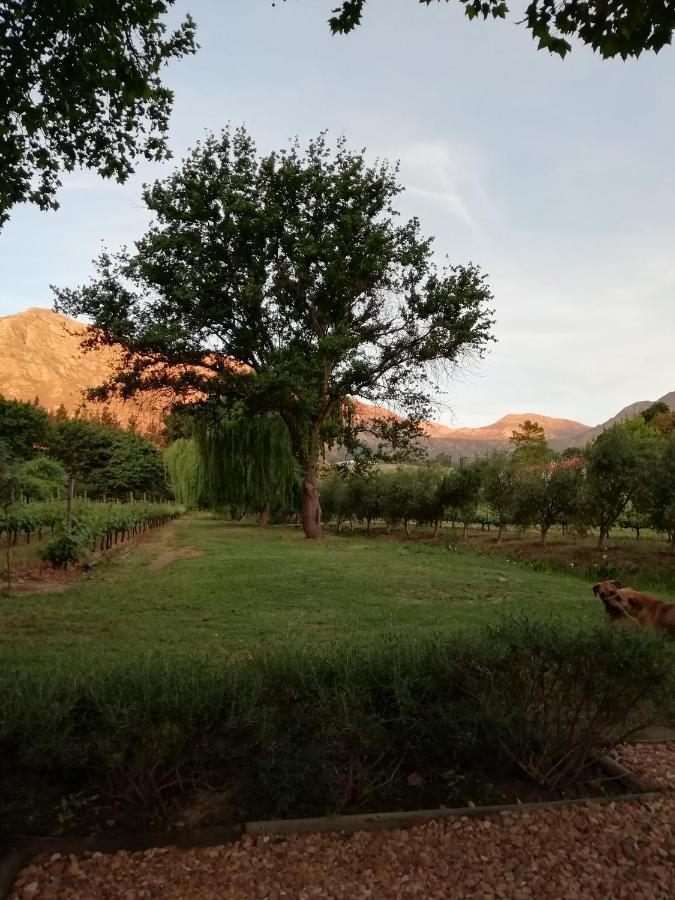 Cabernet Cottage Franschhoek Exteriör bild
