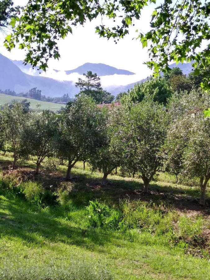 Cabernet Cottage Franschhoek Exteriör bild